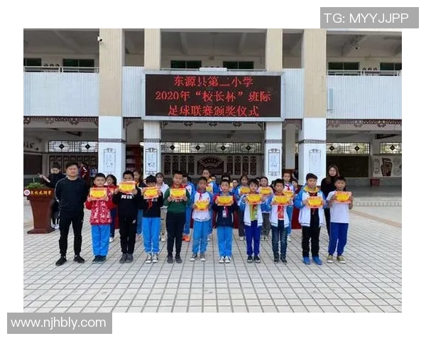 东源足球明星盘点及其在国内外赛场的精彩表现与成就分析