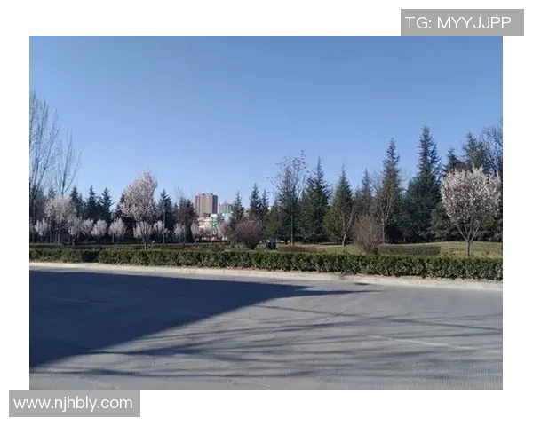 少林足球明星现状揭秘他们的生活与事业发展轨迹